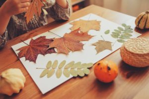 Un enfant fait des ateliers Montessori de Botanique a Toulouse