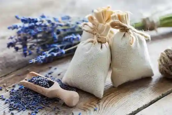 Petits sachets de lavandes liés et odorants